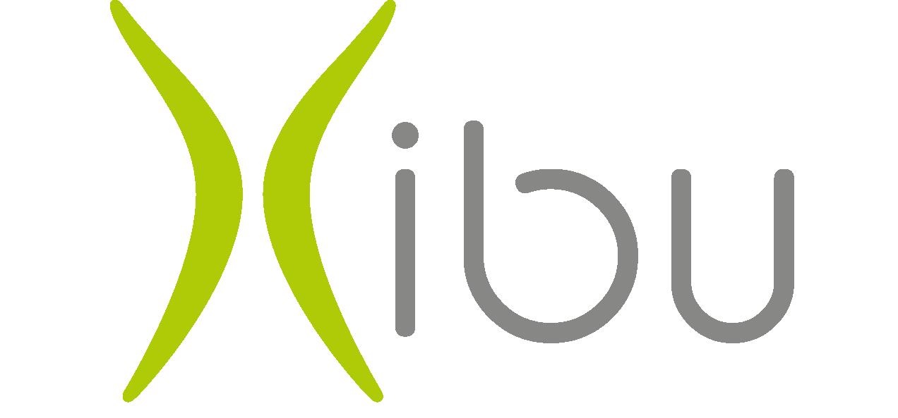 XIBU by Hagleitner